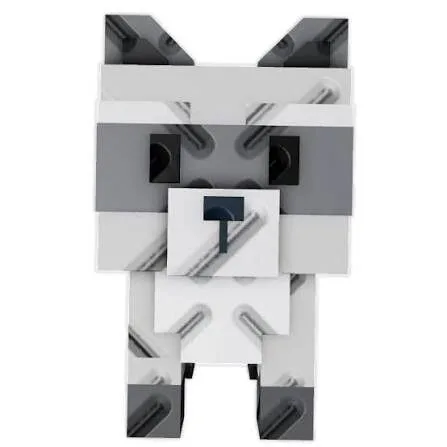Raccoon