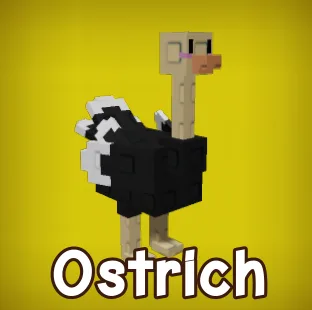 Ostrich