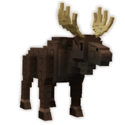 Moose — Account account