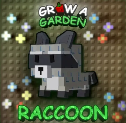 Raccoon (Super)