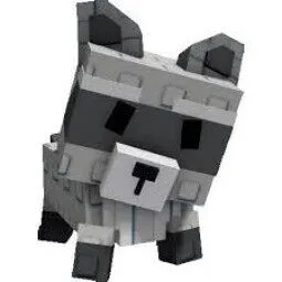 Raccoon — Account account