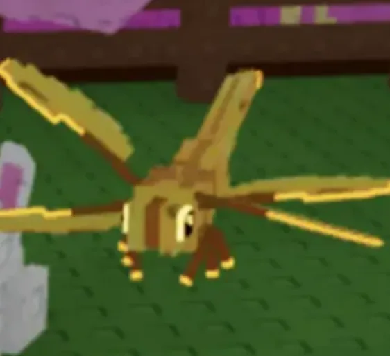 Golden Dragonfly (Super) — Account account