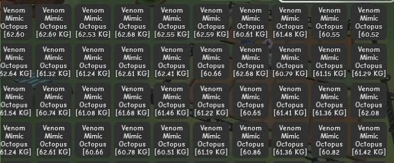 MIMIC OCTOPUS 60-62KG (RANDOM)