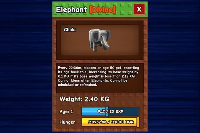 ELEPHANT REAL STOCK DIVINE PET — Account account