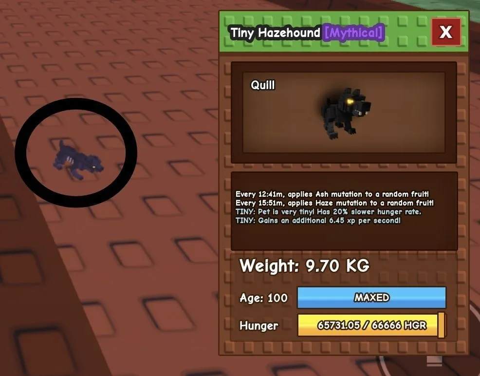 TINY Hazehound - 9.70 KG (Age 100) — Account account