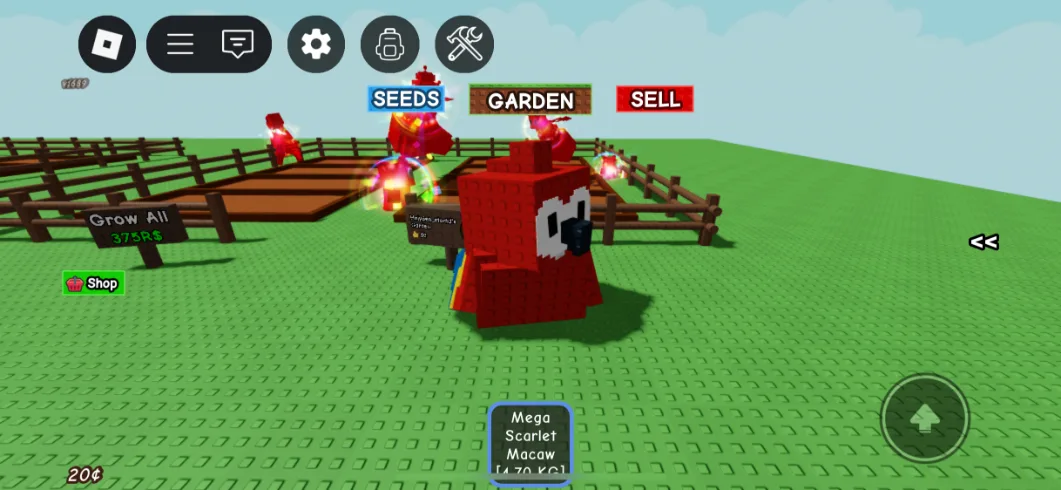 MEGA MUTATION SCARLET MACAW 3 instant delivery