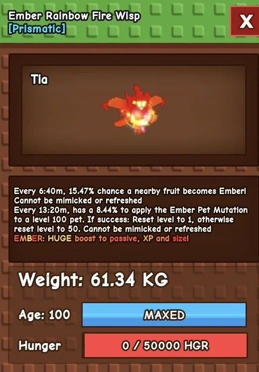 61KG+ ( RBH ) EMBER RAINBOW FIRE WISP FAST DELIVERY — Account account