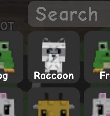 Raccoon (Super) — Account account