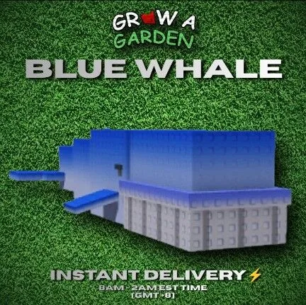 BLUE WHALE 60/61 KG