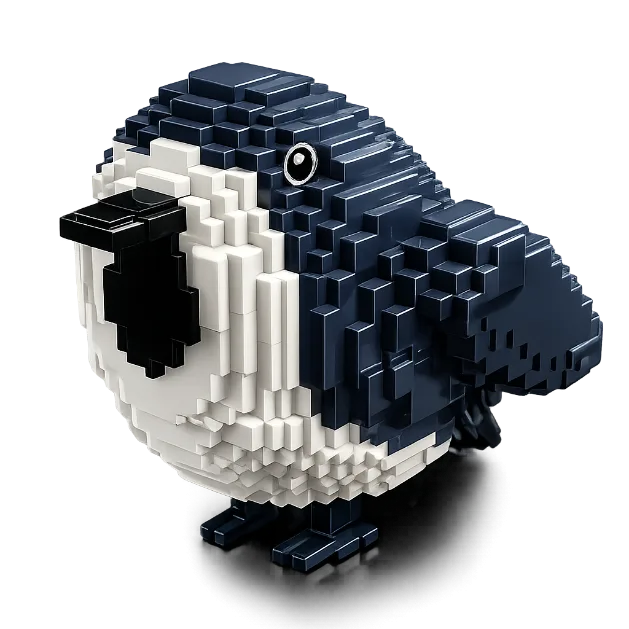 Birb — Account account