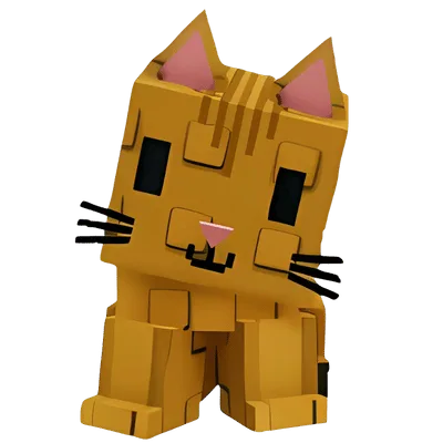 Orange Tabby