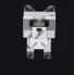 Raccoon (Super)