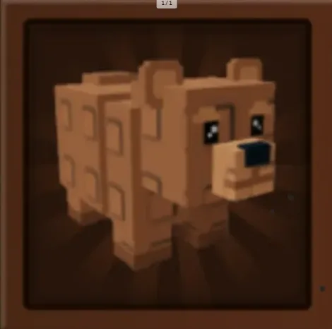 Bear — Account account
