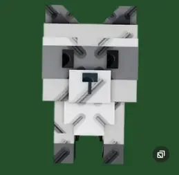 Raccoon (Super) — Account account