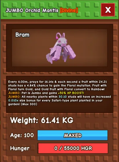 HUGE JUMBO ORCHID MANTIS 60KG - 61KG — Account account