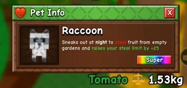Raccoon (Super)