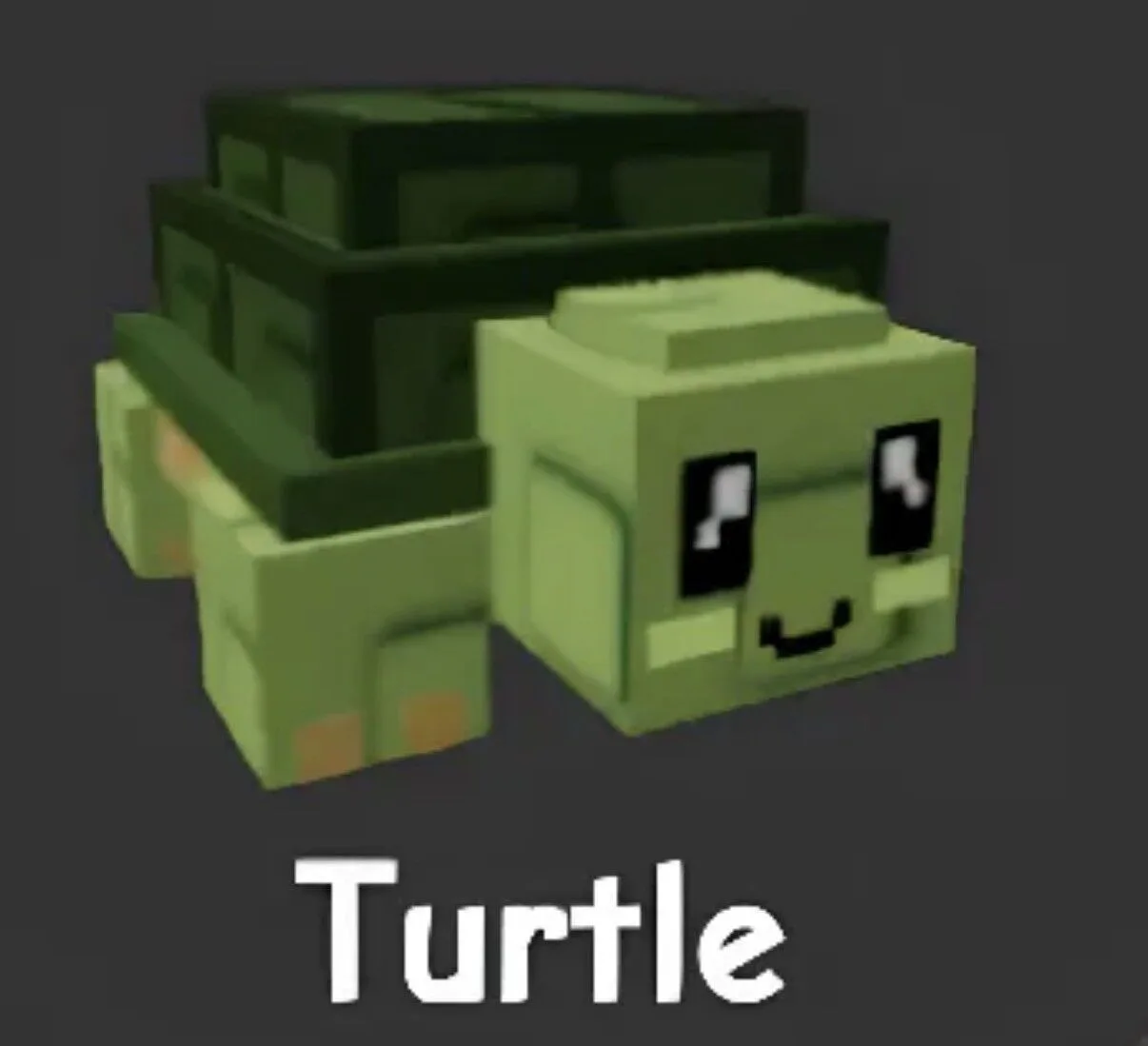Turtle 10 Space each turtle more Cheapest and fastest delifery (Rare) — Account account