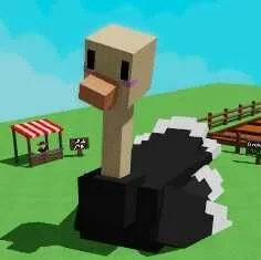 HUGE Ostrich AGE 1 :100 8KG BEST FAST DELIVERY NON DUPED 100 CLEAN