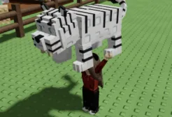 White Tiger