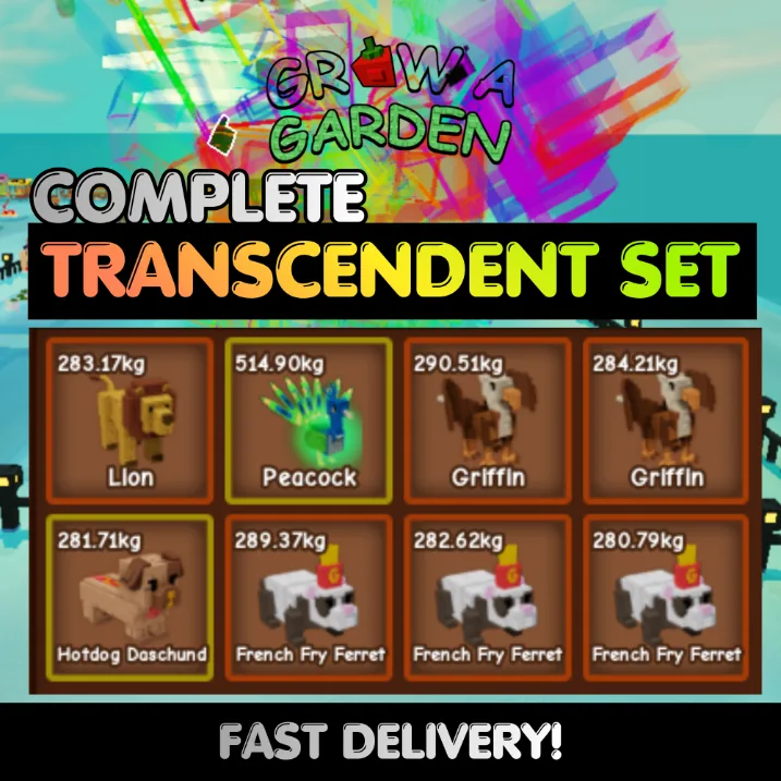 TRANSCENDENT Leveling Set Bundle 1 8X Transcendent Pets Age 500 INSTANT DELIVERY