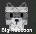 Raccoon (Super)