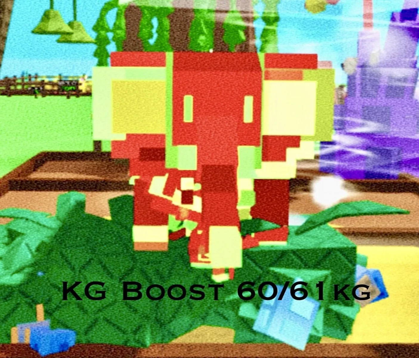 Kg Boosting Service to 60/61kg