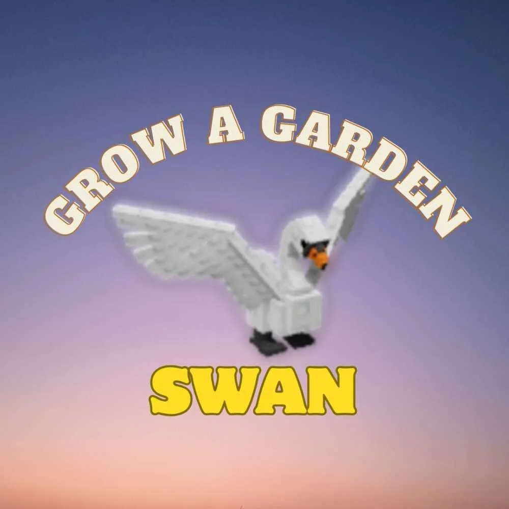 Swan