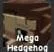 Hedgehog (Rare)
