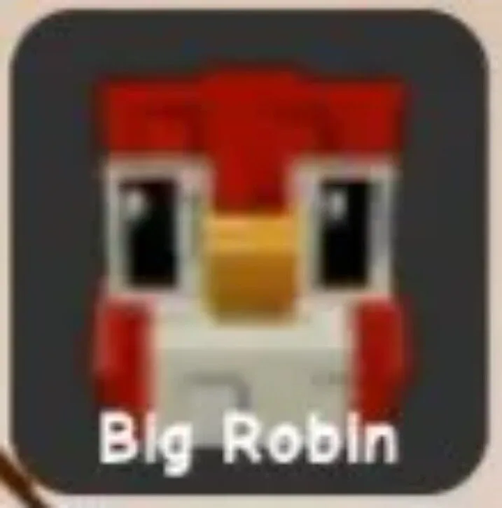 Robin (Rare) — Account account