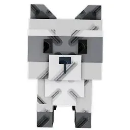 Raccoon
