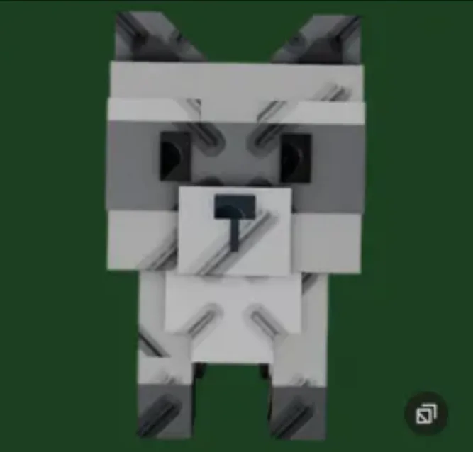 Raccoon (Super) — Account account
