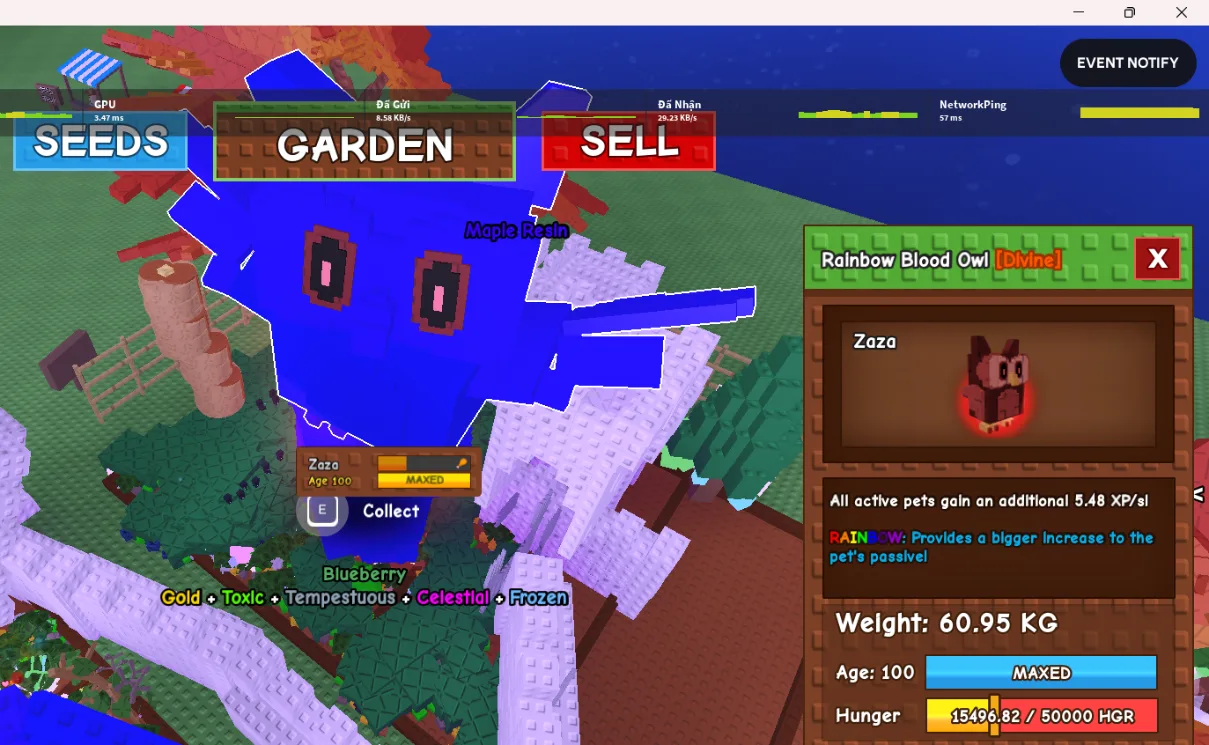 60kg+ RAINBOW BLOOD OWL SUPER HANDSOME AND CUTE AND FOR BOOSTING XP GOOODDDDDDDDD