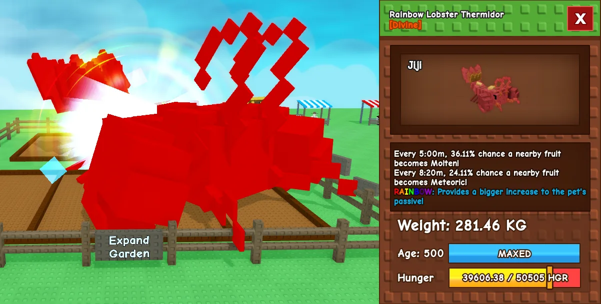 281.46kg Rainbow Lobster Thermidor