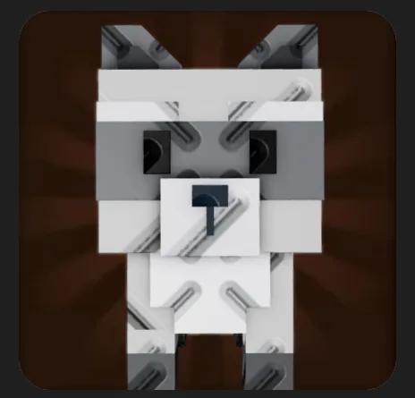 Raccoon