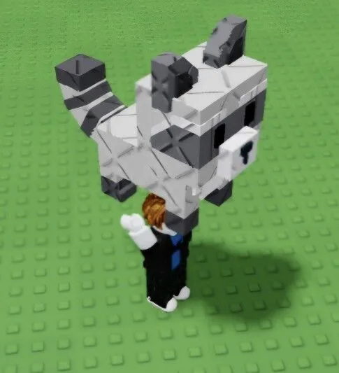 Raccoon (Super)