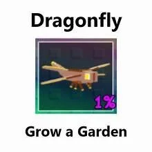 READY DRAGONFLY ( INSTANT DELIVERY) Grow A Garden