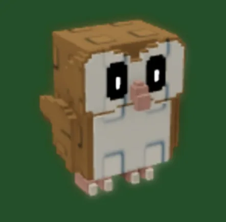 BARN OWL — Account account