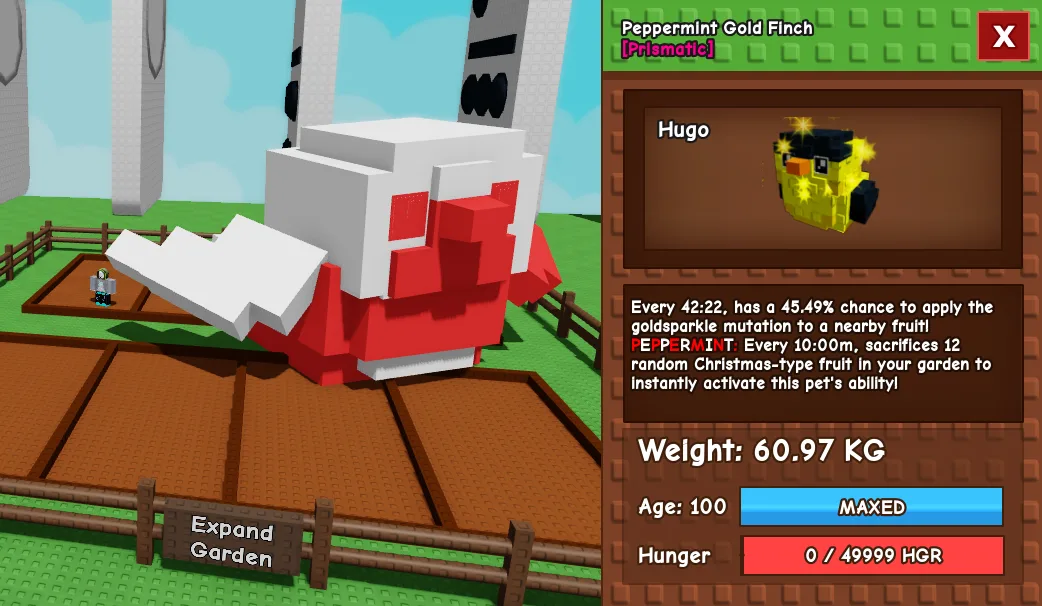 60kg+ Peppermint Gold Finch — Account account