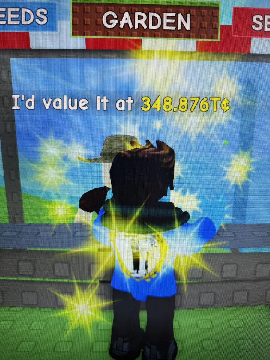 5x Ginger Bread Blossoms 348,876t each