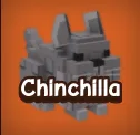 Chincilla 3X — Account account