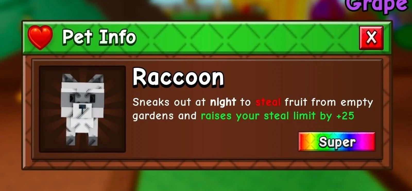 Raccoon (Super) — Account account