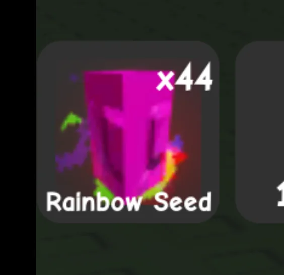 RAINBOW SEED — Account account