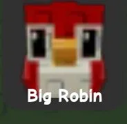 Robin — Account account