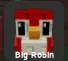 Robin (Legendary) — Account account