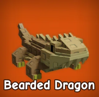 Bearded Dragon