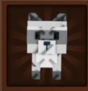 Raccoon (Super)