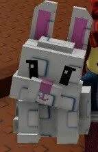 Bunny — Account account