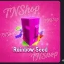 Rainbow Seed — Account account