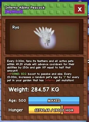 INFERNO ALBINO PEACOCK 280+ kg Age 500 On-Hand Stock