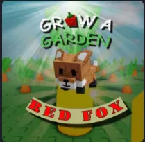 Red Fox — Account account